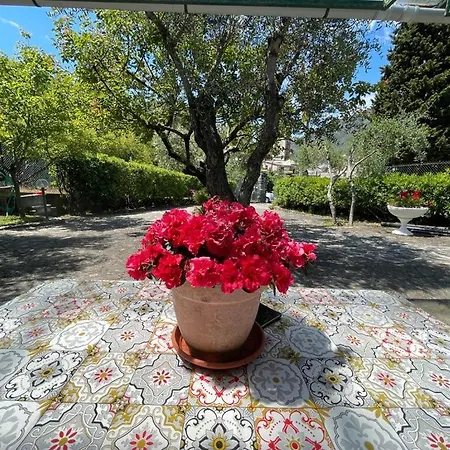 Rosy - Levanto, 5 Terre