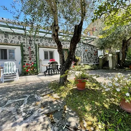 Rosy - Levanto, 5 Terre *