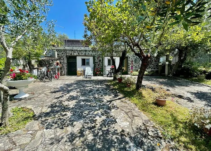 Rosy - Levanto, 5 Terre