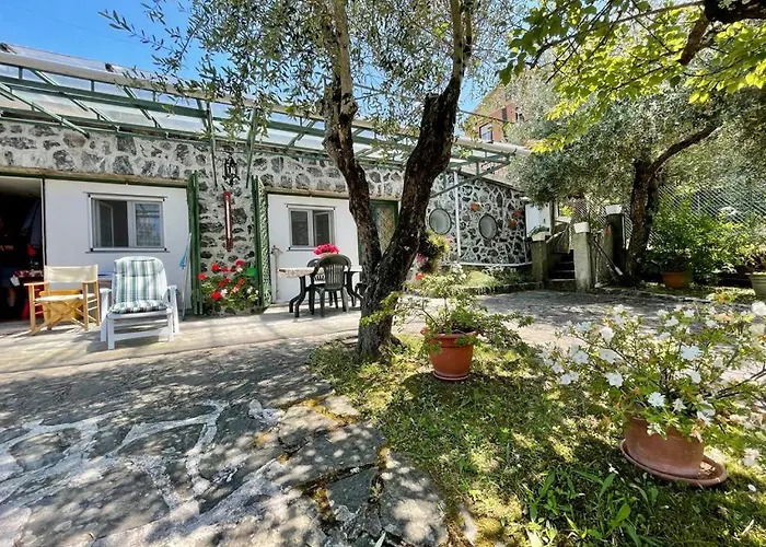 Rosy - Levanto, 5 Terre *