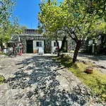 Rosy - Levanto, 5 Terre