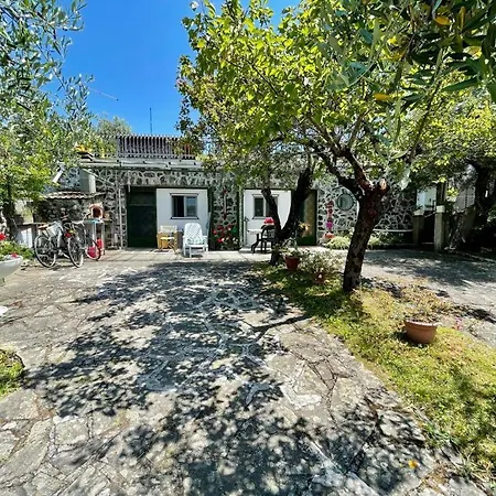 Rosy - Levanto, 5 Terre