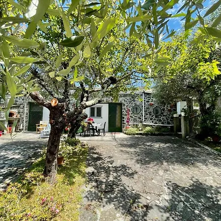 Rosy - Levanto, 5 Terre Apartment