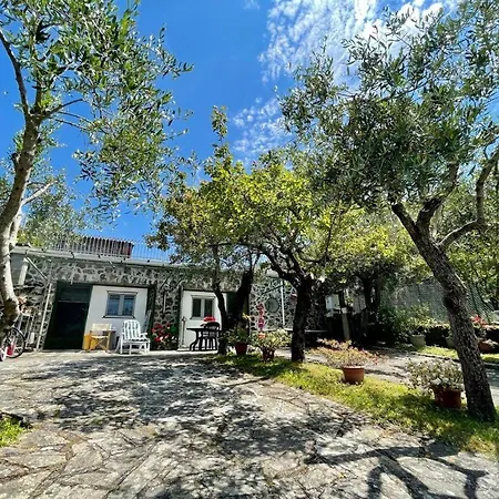 Rosy - Levanto, 5 Terre Apartment Levanto