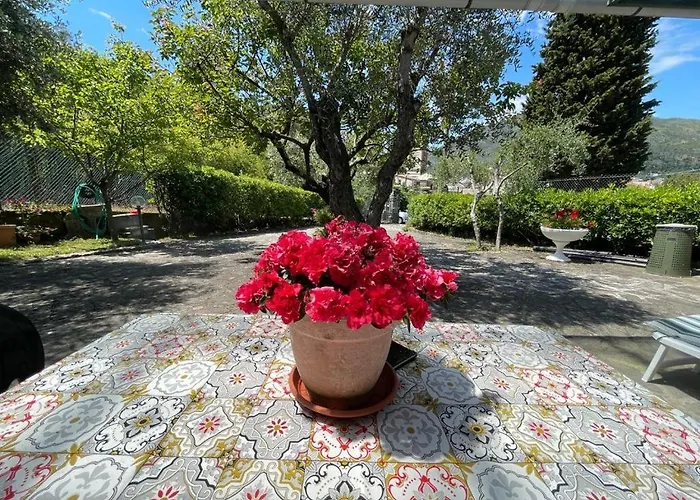 Rosy - Levanto, 5 Terre